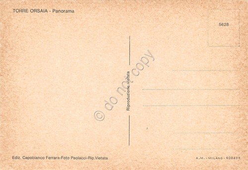 Cartolina Torre Orsaia panorama paese case anni '80