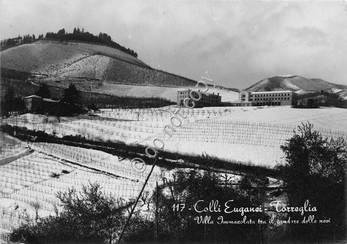 Cartolina Torreglia - Colli Euganei - Villa Immacolata - 1956 …