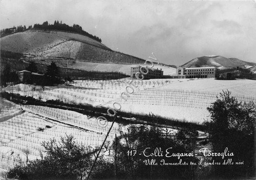Cartolina Torreglia - Colli Euganei - Villa Immacolata - 1956 …