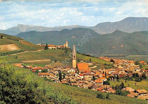 Cartolina Tramin Panorama (Bolzano)