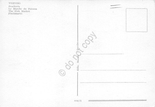 Cartolina Treviso Pescheria Mercato del pesce | Immagine Gallery 2