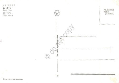 Cartolina Trieste la Riva strada statua barche auto | Immagine Gallery 2