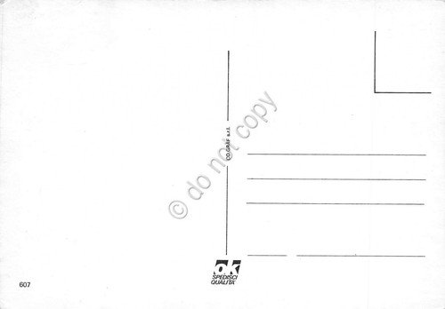 Cartolina Trieste notturno 4 vedute fuochi d'artificio | Immagine Gallery 2