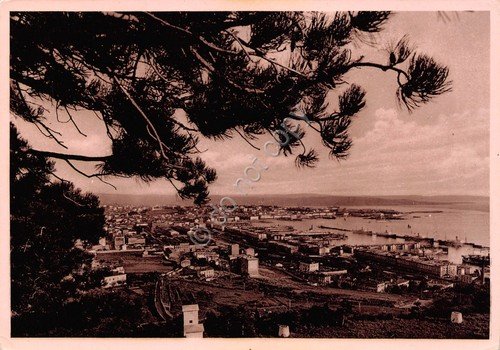 Cartolina Trieste panorama 1952 | Immagine principale