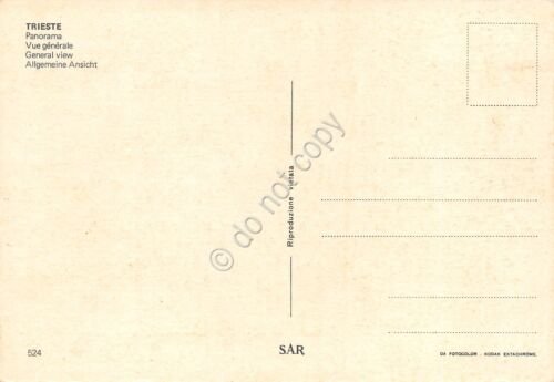 Cartolina Trieste Panorama