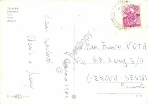 Cartolina Trieste panorama anni '60 | Immagine Gallery 2