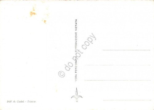 Cartolina Trieste panorama da Barcola anni '50