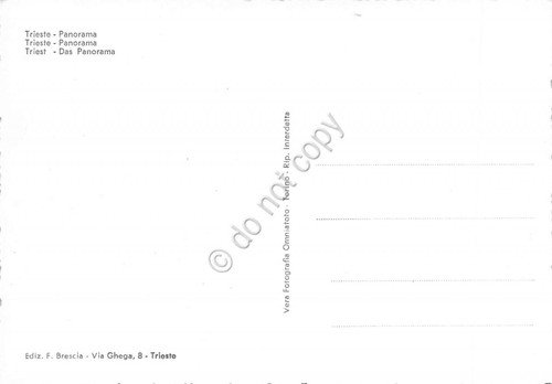 Cartolina Trieste Panorama dall'alto | Immagine Gallery 2
