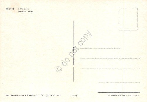 Cartolina Trieste panorama generale case ponte faro anni '80 | Immagine Gallery 2