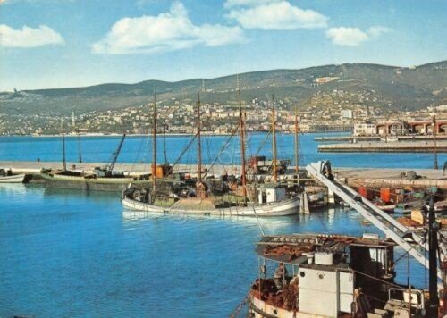 Cartolina Trieste panorama golfo pescherecci 1974 | Immagine principale