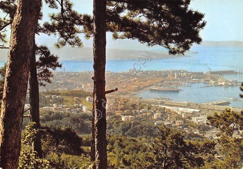 Cartolina Trieste Panorama NVG | Immagine principale