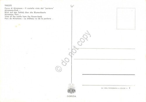 Cartolina Trieste Parco di Miramare Castello visto da parterre