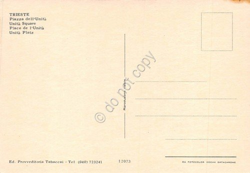 Cartolina Trieste Piazza dell' Unità | Immagine Gallery 2