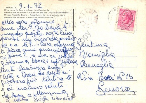 Cartolina Trieste Riva Nazario Sauro Acquario e Pescheria 1972 | Immagine Gallery 2