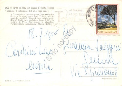 Cartolina Tuenno Lago di Tovel Fenomeno colorazione lago rosso Glenodinium …