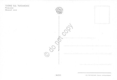 Cartolina Tuoro sul Trasimeno panorama paese e vigne anni '80 | Immagine Gallery 2