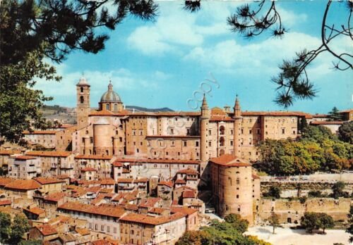 Cartolina Urbino panorama paese case anni '60