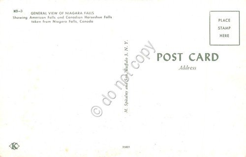 Cartolina USA NY Niagara Falls general view | Immagine Gallery 2