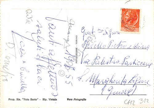 Cartolina Val D'Aveto pineta al Monte Penna 1955