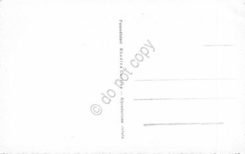 Cartolina Val di Fassa Pozza Meida verso i Monzoni | Immagine Gallery 2