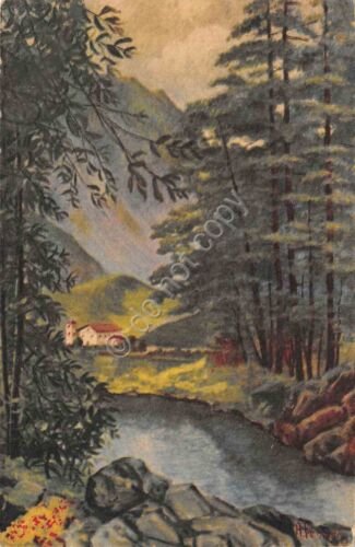 Cartolina Val Levantina illustrata A. Ferrati 1958