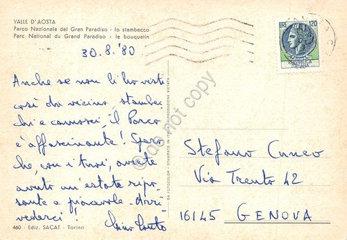 Cartolina Valle d' Aosta Parco Nazionale Gran Paradiso Stambecco 1980
