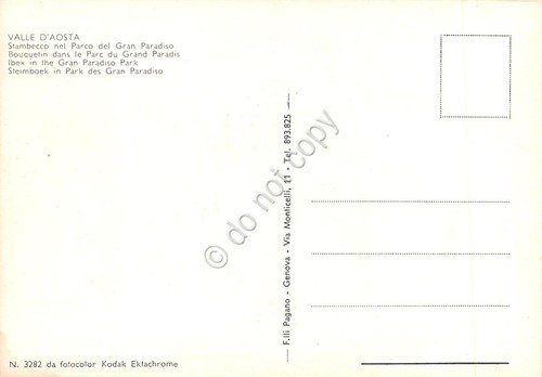 Cartolina Valle d'Aosta Stambecco nel Parco del Gran Paradiso