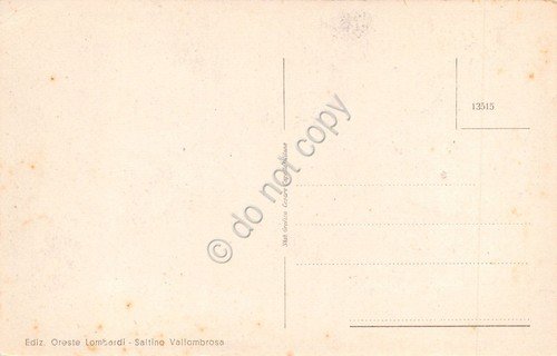 Cartolina Vallombrosa Albergo Abetina da Parco Castello Acquabella | Immagine Gallery 2