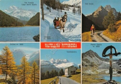 Cartolina Valtellina vedute animata 1981 Timbro Camping Stelvio Cepina (Sondrio)