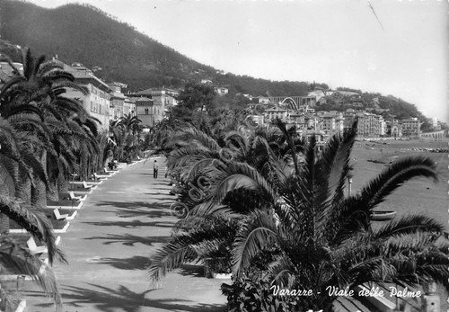 Cartolina Varazze Viale delle palme (Savona) | Immagine principale