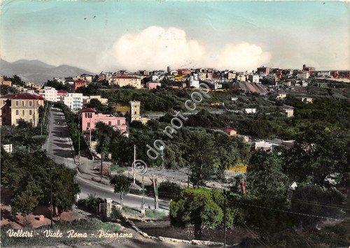 Cartolina Velletri Viale Roma Panorama 1961 (Como)