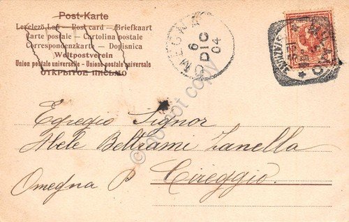 Cartolina Venezia Chiesa della Salute illustrata Trevisan 1904 | Immagine Gallery 2