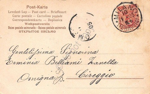 Cartolina Venezia Ponte di Rialto Illustrata Trevisan 1905 | Immagine Gallery 2