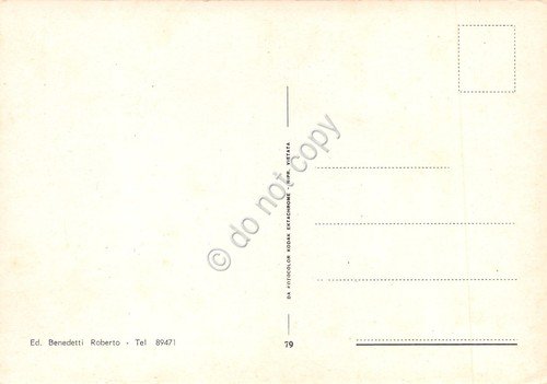 Cartolina Venezia Regata Storica vedute varie | Immagine Gallery 2