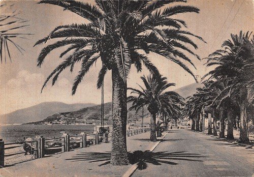 Cartolina Ventimiglia Passeggiata Oberdan (Imperia)