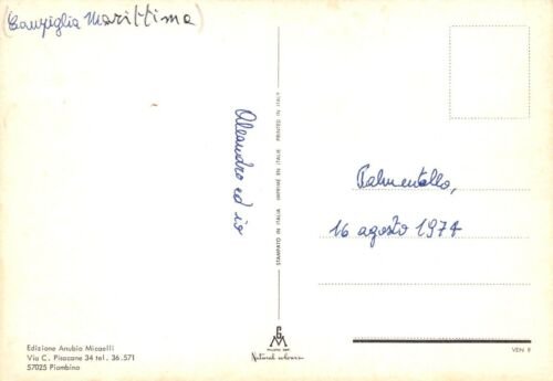 Cartolina Venturina Vedutine