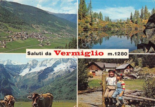 Cartolina Vermiglio 4 vedute panorama animata mucche | Immagine principale
