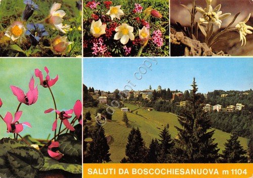 Cartolina Verona Boscochiesanuova vedutine 1973 | Immagine principale