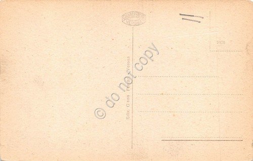 Cartolina Verona Lungadige Campagnola animata