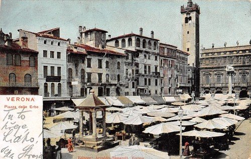 Cartolina Verona Piazza delle Erbe 1903 illustrata | Immagine principale