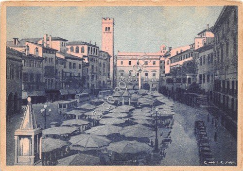 Cartolina Verona Piazza Erbe Mercato Illustrata