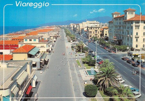 Cartolina Viareggio case strada auto giardini anni '80