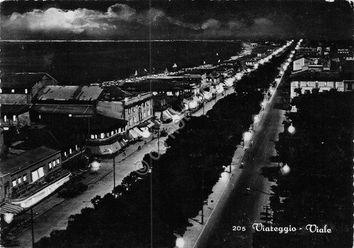 Cartolina Viareggio Viale notturno anni '50 (Lucca) | Immagine principale