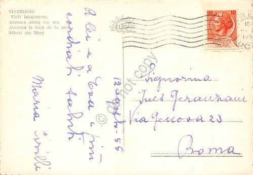Cartolina Viareggio Viali Lungomare 1955