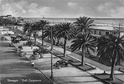 Cartolina Viareggio Viali Lungomare auto d'epoca 1955 | Immagine principale