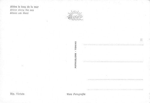 Cartolina Viareggio Viali Lungomare auto d'epoca