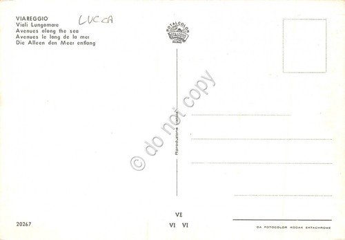 Cartolina Viareggio Viali Lungomare notturno (Lucca) | Immagine Gallery 2