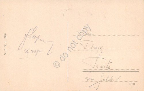 Cartolina Vienna Wien Volksgarten Hofmuseen 1920 Illustrata