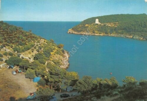 Cartolina Vieste Gargano Baia di san Felice 1985 (Foggia) | Immagine principale