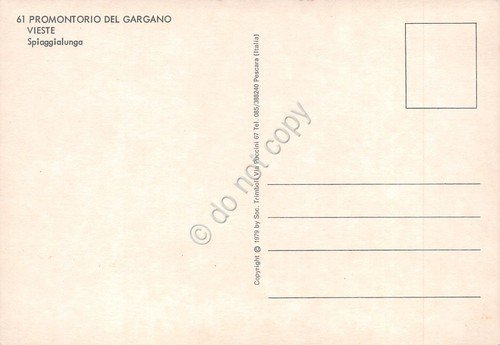 Cartolina Vieste Spiaggia lunga panorama generale anni '80 | Immagine Gallery 2